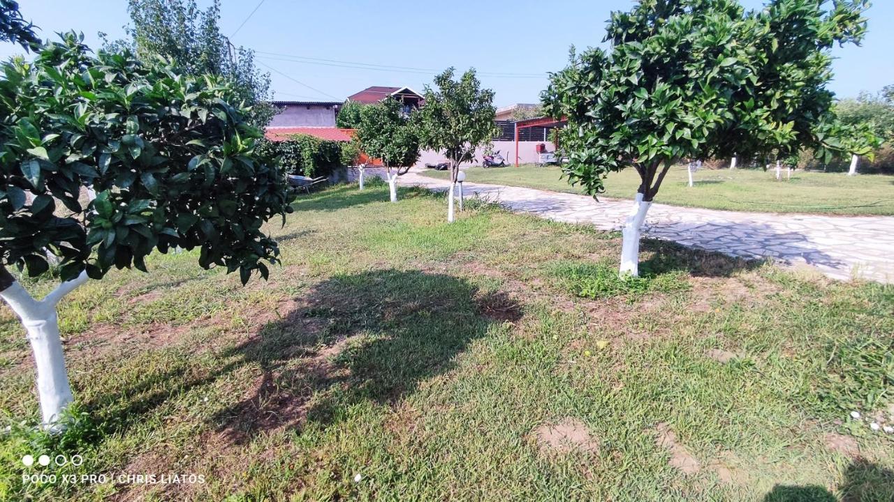 Vivian Philoxenia Villa Nea Sampsounta Dış mekan fotoğraf